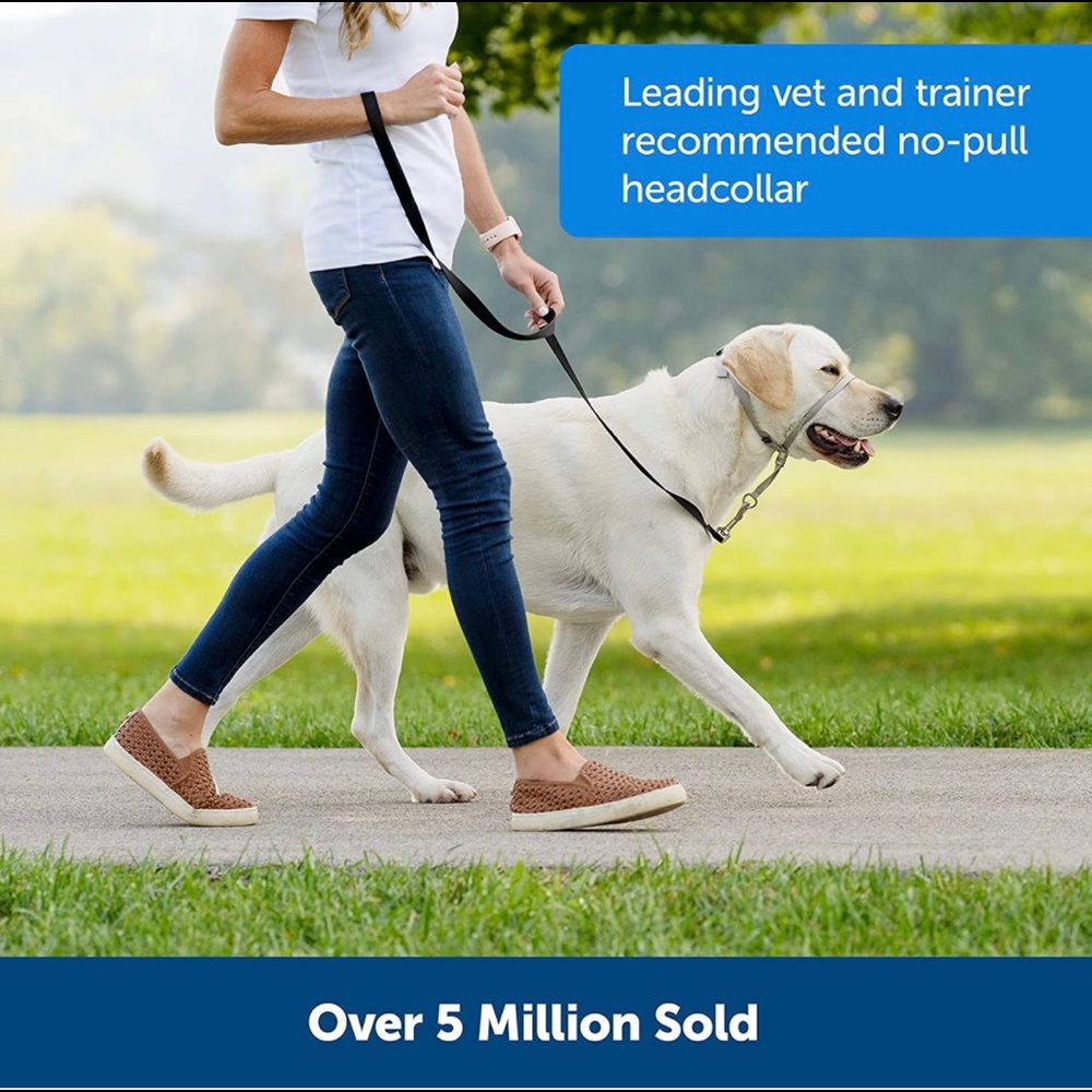 Gentle Leader leash